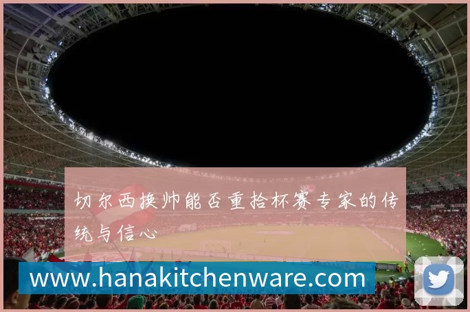 切尔西换帅能否重拾杯赛专家的传统与信心